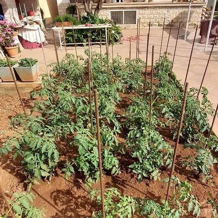 公寓 哈娜公寓 *