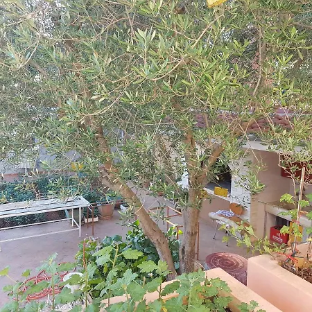 Hana Apartment Zadar